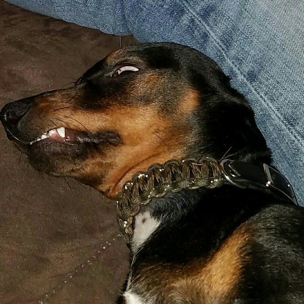 Meet your Posher, Michael